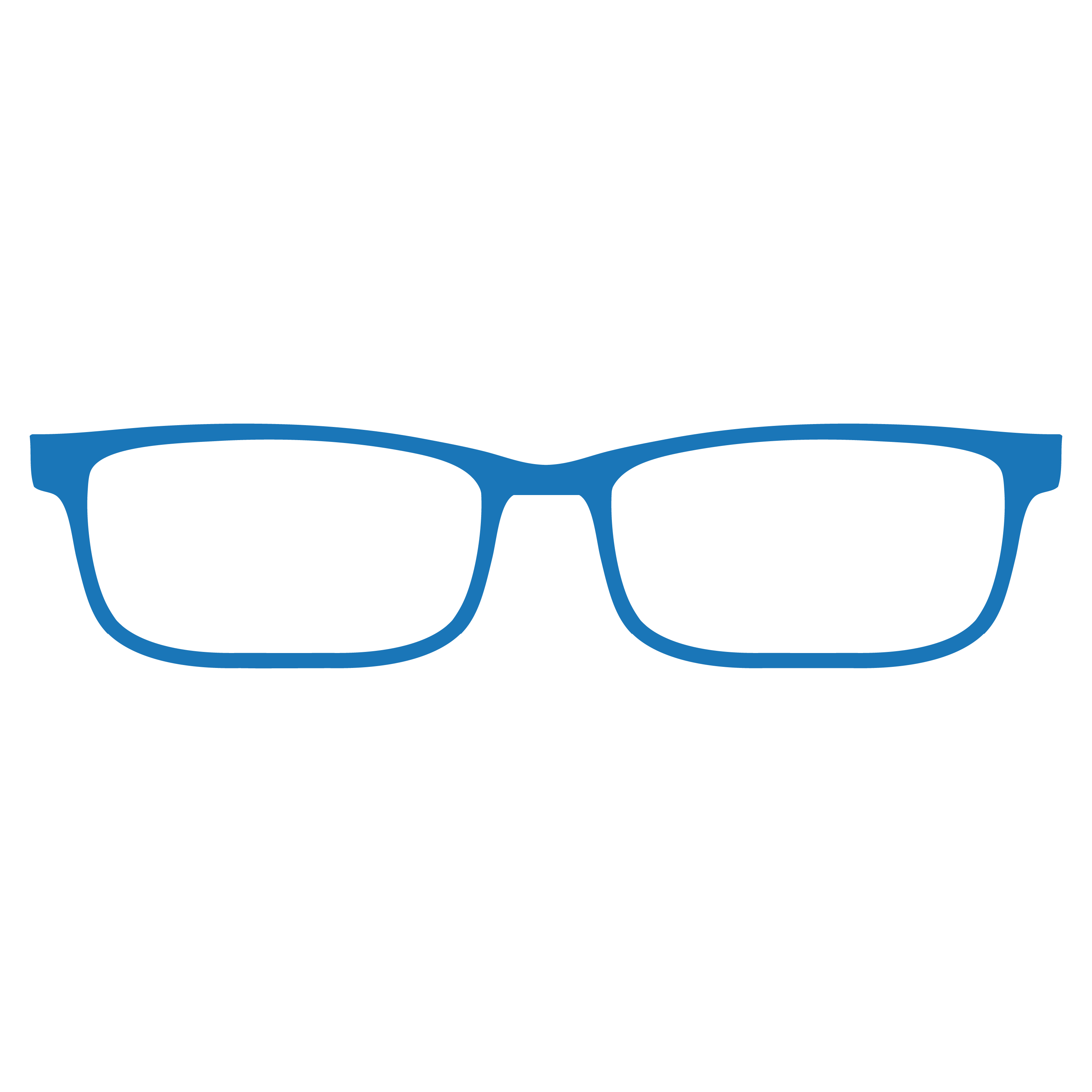Eyeglasses Lens Replacement